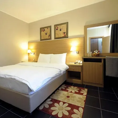 Hotel 1000 Ruza 3*